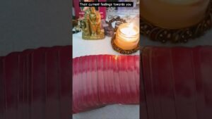 Leia mais sobre o artigo Their current feelings towards you #shorts #shortsfeed #tarot