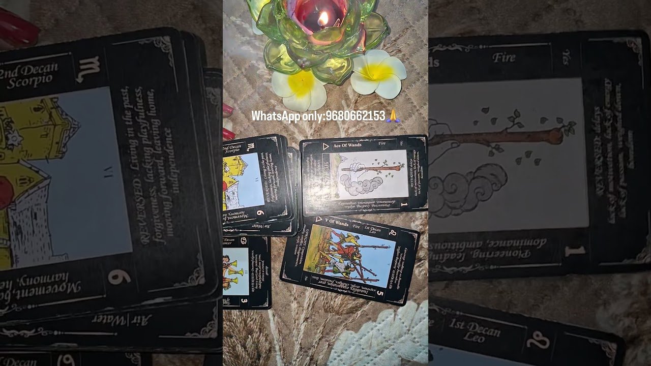 No momento, você está visualizando what you can expect in 24 hours🕊🪬🧿 #tarot #gratitude