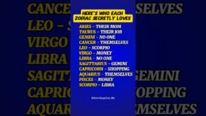 Leia mais sobre o artigo Who Each Zodiac Secretly Love 🥰 #zodiac #zodiacsigns #astrology #horoscope #tarot
