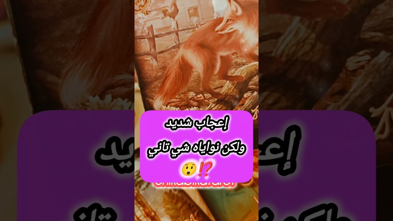 No momento, você está visualizando شخص غريب و تصرفه هيصدمك 🙄💌 #shorts #shortvideo #motivation #viral #tarot #love