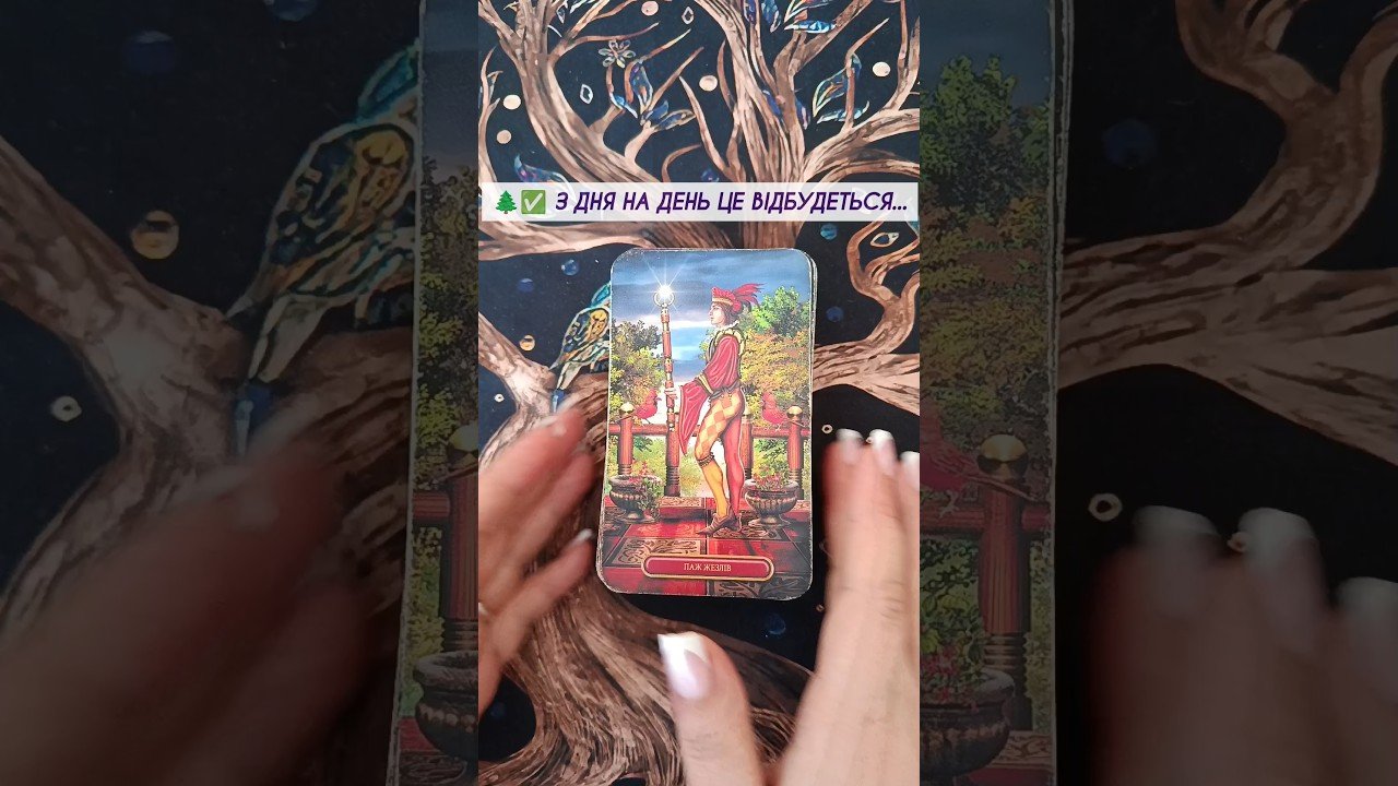 No momento, você está visualizando 🌲✅ З дня на день це відбудеться…  таро розклад #shorts  #tarot  #таро