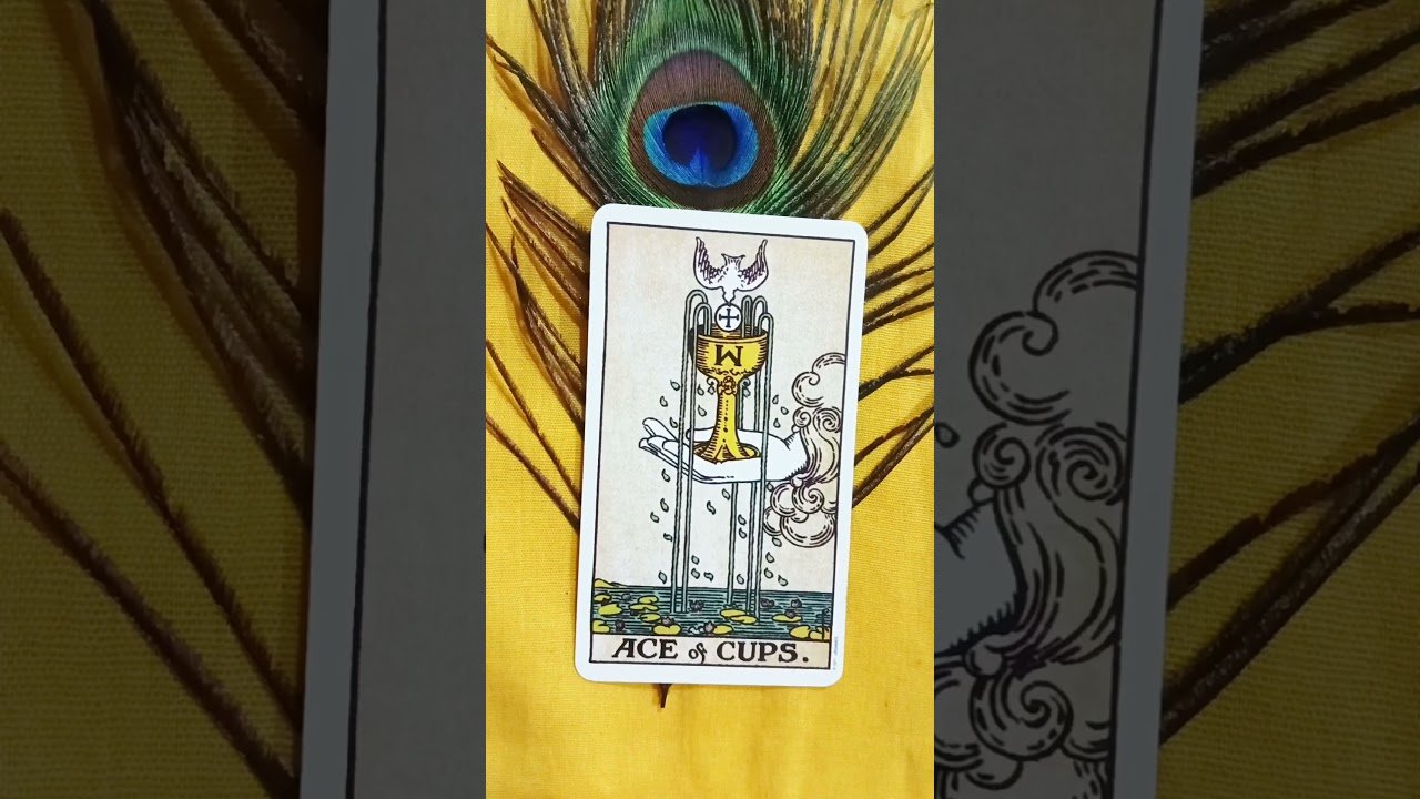 No momento, você está visualizando आपका रूठा प्रेम🧿💯🥰#current #tarot #shorts #energy #viral