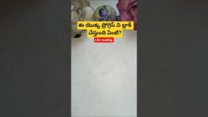 Leia mais sobre o artigo ఈ యొక్క ప్రోగ్రెస్ ని బ్లాక్ చేస్తుంది ఏంటి? #tarot #tarotcaards #tarotreading