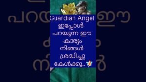 Leia mais sobre o artigo ഇത് ഈ നിമിഷം നിങ്ങൾ കേൾക്കേണ്ട സന്ദേശം..✨🧚🏻#shorts #tarot #trending #viral