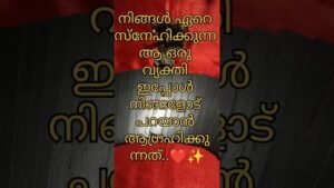Leia mais sobre o artigo നിങ്ങൾ ഏറെ സ്നേഹിക്കുന്ന വ്യക്തിയിൽ നിന്നുള്ള സന്ദേശം ✨❤️ #shorts #shortsfeed #tarot #shortvideo