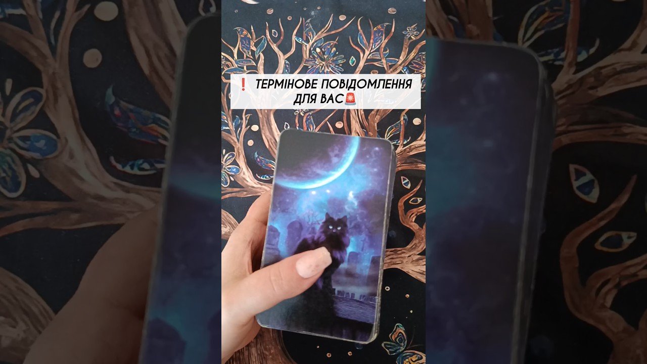 No momento, você está visualizando ❗️ Термінове повідомлення для Вас🚨#shorts  #tarot  #таро