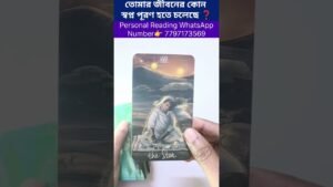 Leia mais sobre o artigo তোমার জীবনে কোন স্বপ্ন পূরণ হতে চলেছে😍 #currentfeelings #tarot #bengalitarotreading #soulfamily