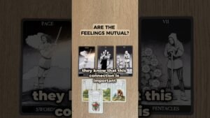 Leia mais sobre o artigo 💞 Are The Feelings Mutual? #earthrisetarot #tarot