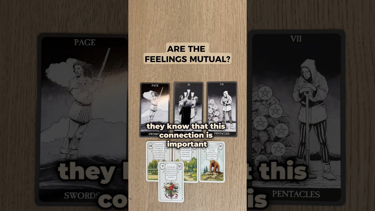 No momento, você está visualizando 💞 Are The Feelings Mutual? #earthrisetarot #tarot