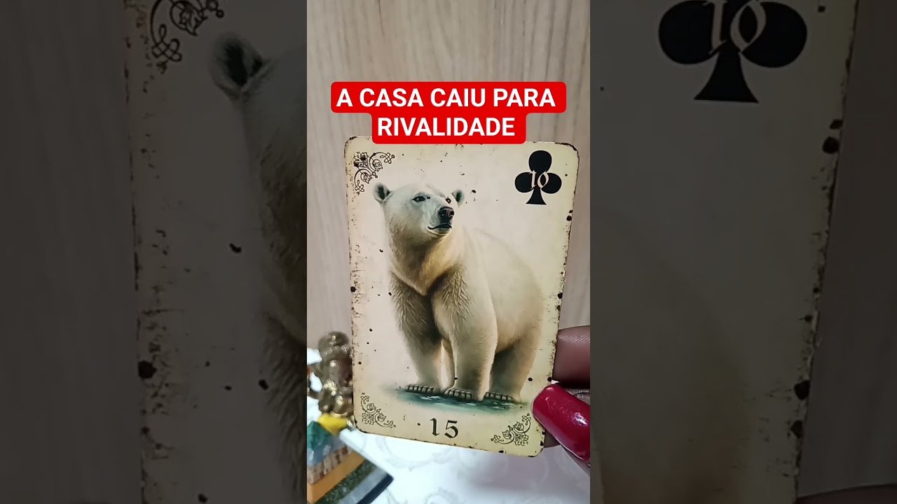 No momento, você está visualizando 🚨 Conheça Vídeos Completos + Segue o Canal #leidaatração #destino #previsões #cartomante #tarothoje