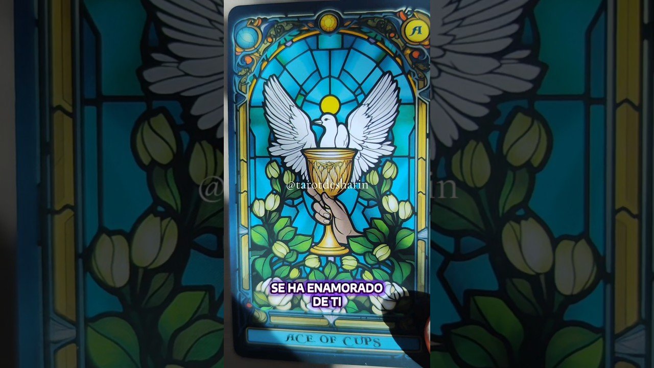 No momento, você está visualizando 💜 LE ESTÁS DANDO DÓNDE MÁS LE DUELE #parati #tarot #tarotdesharin #youtubeshorts #shorts #youtube