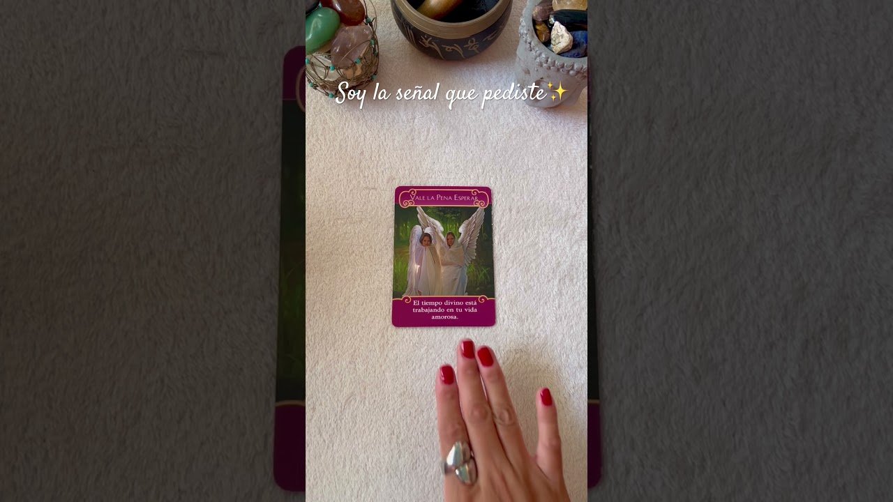 No momento, você está visualizando 💫 Mensaje del Oráculo de los #angeles del #romance para ti #tarot #tarotreading 🪷