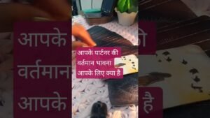 Leia mais sobre o artigo 🌹💯💖🦋🌈 #nocontactreading your person current feeling for you ll #love #tarot #whatscoming