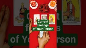 Leia mais sobre o artigo “❤️ Their Current Feelings Tarot Reading Malayalam 🔮”#astrology #shorts #currentfeelingstarot