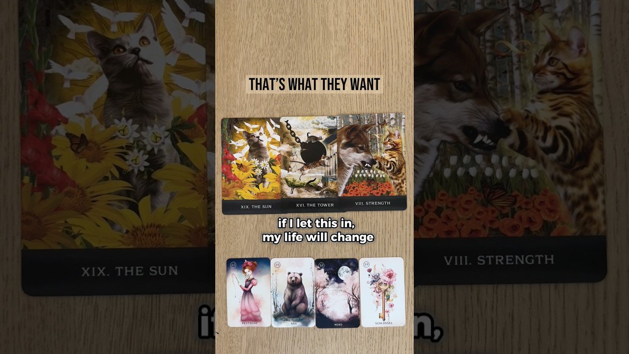 No momento, você está visualizando 🗝️ Their True Intentions With You (Revealed) #earthrisetarot #tarot