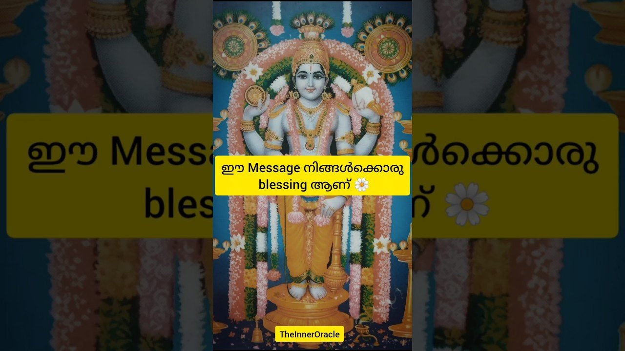No momento, você está visualizando ഈ message നിങ്ങൾക്കൊരു blessing ആണ് ✨#tarot #guidance311 #fortunetelling #energy #thankyou