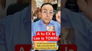Leia mais sobre o artigo A tu EX le cae la TORRE