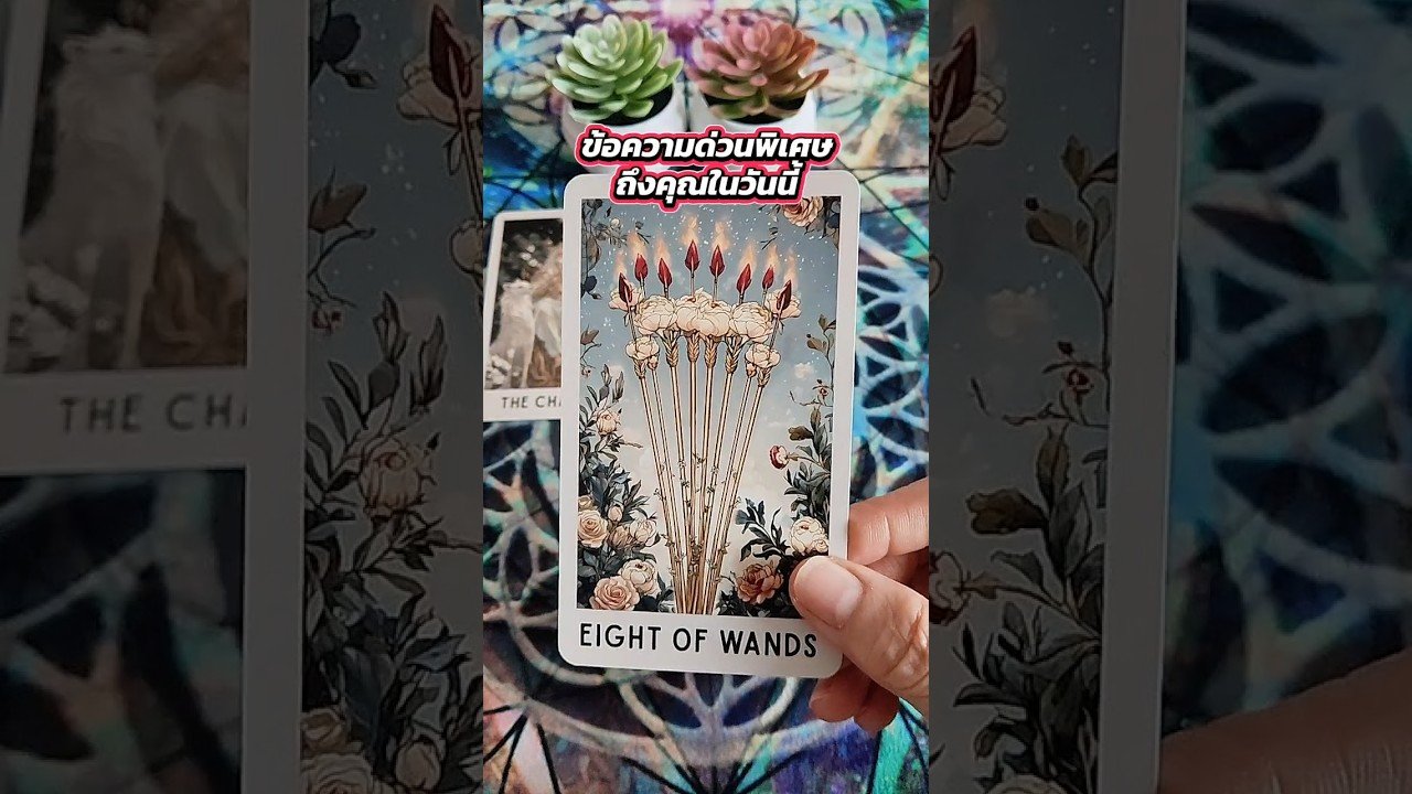 No momento, você está visualizando ข้อความด่วนพิเศษถึงคุณในวันนี้ #tarot #ไพ่ยิปซี #tarotreading #ดูดวง #ไพ่ทาโรต์ #random #pickacard