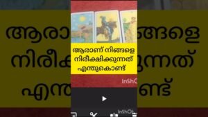 Leia mais sobre o artigo ആരാണ് നിങ്ങളെ നിരീക്ഷിക്കുന്നത് #tarot #sbortvideo #shortsfeed