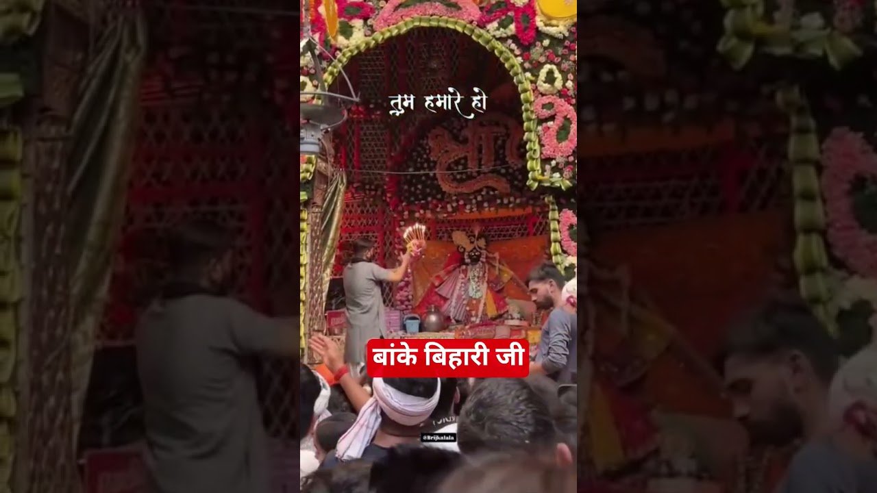 No momento, você está visualizando बांके बिहारी लाल जी के दर्शन #vrindavanmarg #love #hindudeity #astrology #hindugod #tarot