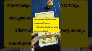 Leia mais sobre o artigo മകരചോതി അനുഗ്രഹങ്ങൾ 🙏🙏#shorts #tarotreading #divinemessage #tarot #divine #universe