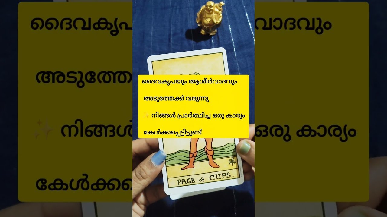 No momento, você está visualizando മകരചോതി അനുഗ്രഹങ്ങൾ 🙏🙏#shorts #tarotreading #divinemessage #tarot #divine #universe