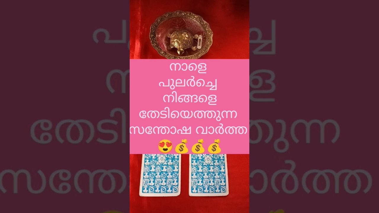 No momento, você está visualizando നിങ്ങളിലേക്ക് വരുന്ന സന്തോഷ വാർത്ത.. 💰✨#shorts #tarot #astrology