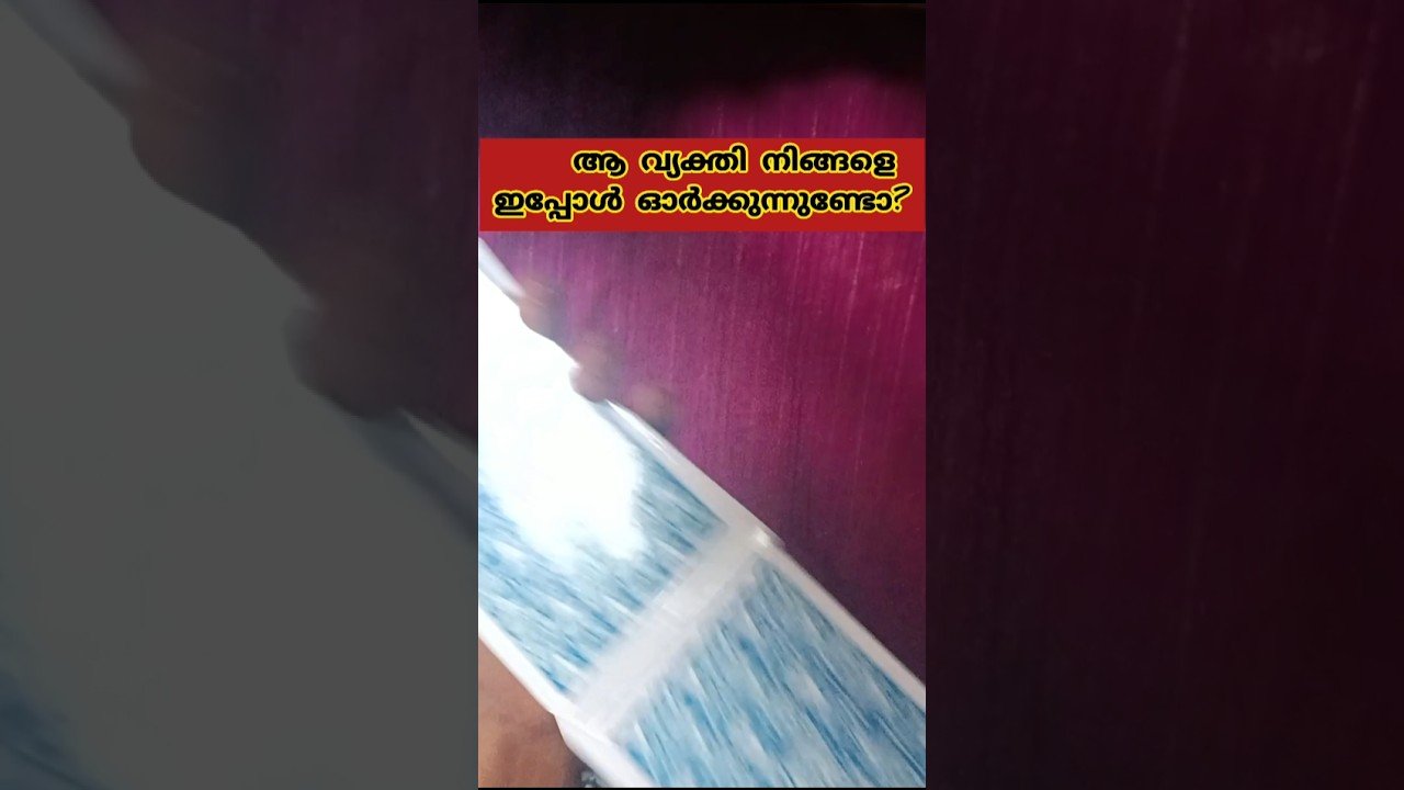 No momento, você está visualizando നിങ്ങളെ തേടി ഒരു സന്തോഷ വാർത്ത വരുമോ? | Malayalam Tarot Card Reading ✨