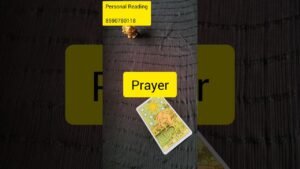 Leia mais sobre o artigo നിങ്ങള്ളിലേക്കി വരുന്നത് #tarotreading #shorts #universe #tarotcards #universe #tarotguidance