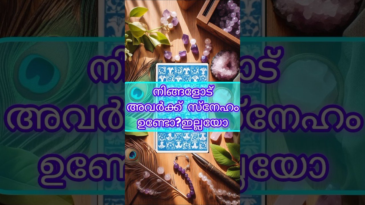 No momento, você está visualizando നിങ്ങളോട് അവർക്ക് സ്നേഹം ഉണ്ടോ? ഇല്ലയോ?❤️💙🤩#shorts #shortsfeed #love#tarot #tarotreading #malayalam