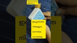 Leia mais sobre o artigo നിങ്ങളുടെ ഇപ്പോഴത്തെ മാനസിക സംഘർഷം 🙏#tarot#tarotreading #universe #divine #universemessage#tarotcard
