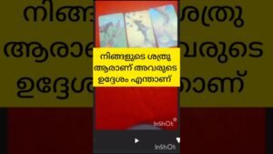 Leia mais sobre o artigo നിങ്ങളുടെ ശത്രുവിന്റെ ഉദ്ദേശം #tarot #shortsfeed #shortvideo