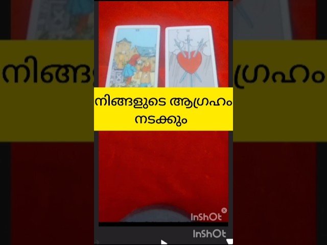 No momento, você está visualizando നിങ്ങളുടെ ആഗ്രഹം നടക്കും #tarot #shortvideo #shortsfeed