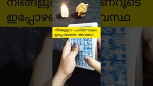 Leia mais sobre o artigo നിങ്ങളുടെ പാർട്ണറുടെ ഇപ്പോഴത്തെ അവസ്ഥ ❤️#tarot #shorts #tarotreading #universemagic