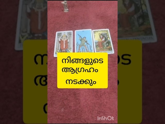 No momento, você está visualizando നിങ്ങളുടെ ആഗ്രഹം നടക്കും #tarot #shortvideo #shortsfeed