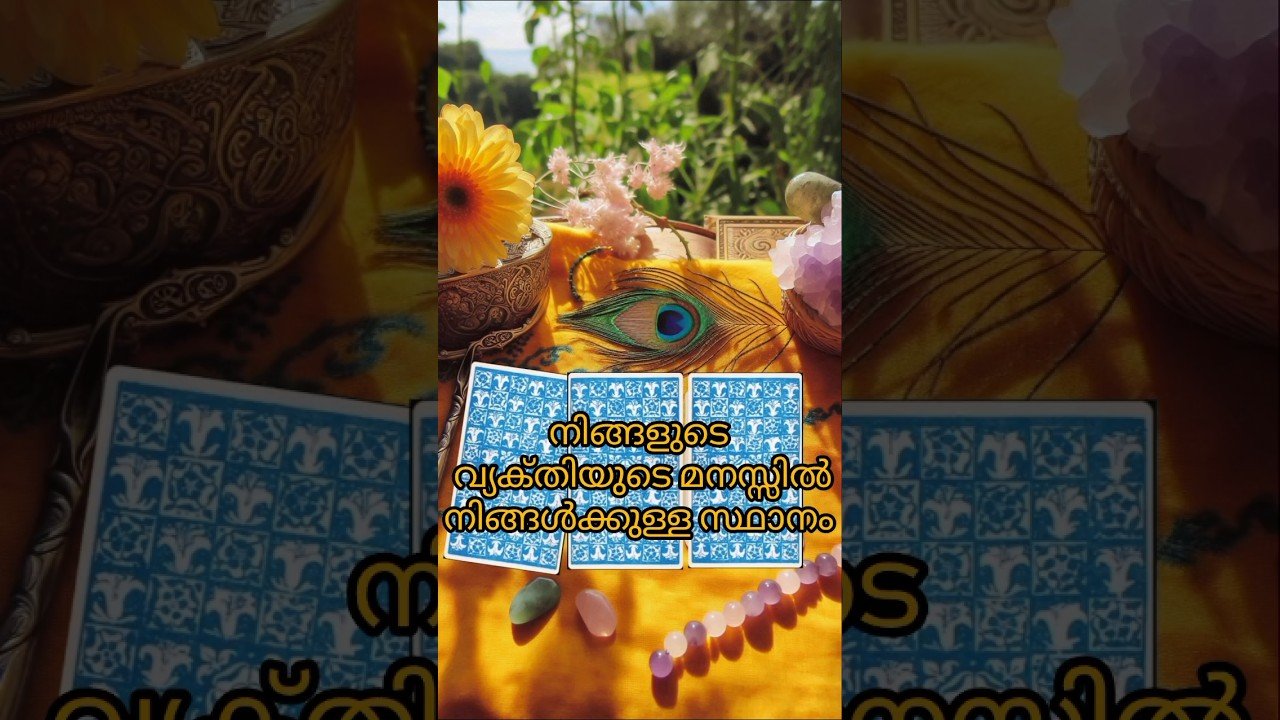 No momento, você está visualizando നിങ്ങളുടെ വ്യക്തിയുടെ മനസ്സിൽ നിങ്ങൾക്കുള്ള സ്ഥാനം? #shorts #shortsfeed #tarot #tarotmalayalam