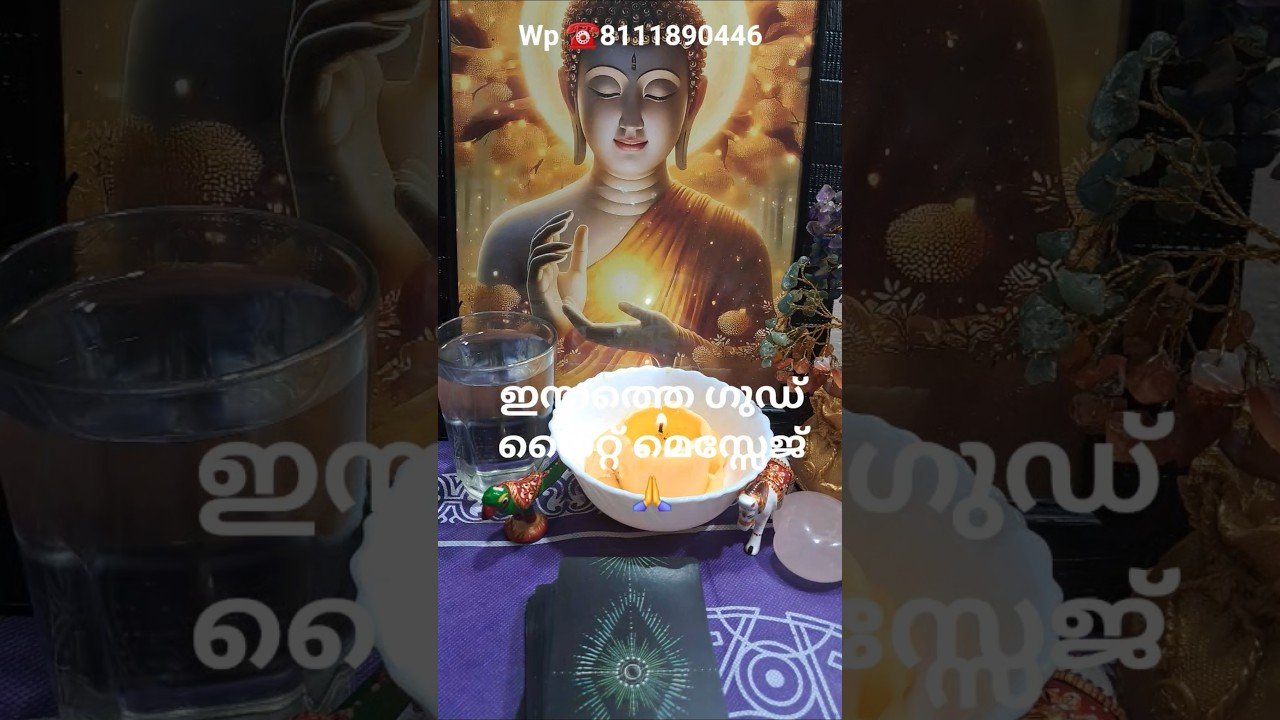 No momento, você está visualizando ഇന്നത്തെ ഗുഡ് നൈറ്റ്‌ മെസ്സേജ് 🙏#tarot