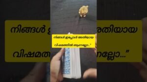 Leia mais sobre o artigo ഇപ്പോൾ നിങ്ങൾ അതിയായ വിഷമത്തിൽ ആണല്ലേ 🙏#universe #shorts #tarot #tarotreading #tarotreader #divine