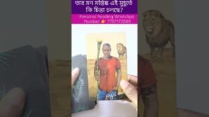 Leia mais sobre o artigo আজ তার মন মস্তিষ্কে তোমাকে নিয়ে কি চিন্তা চলছে? #currentfeelings #tarot #bengalitarotreading