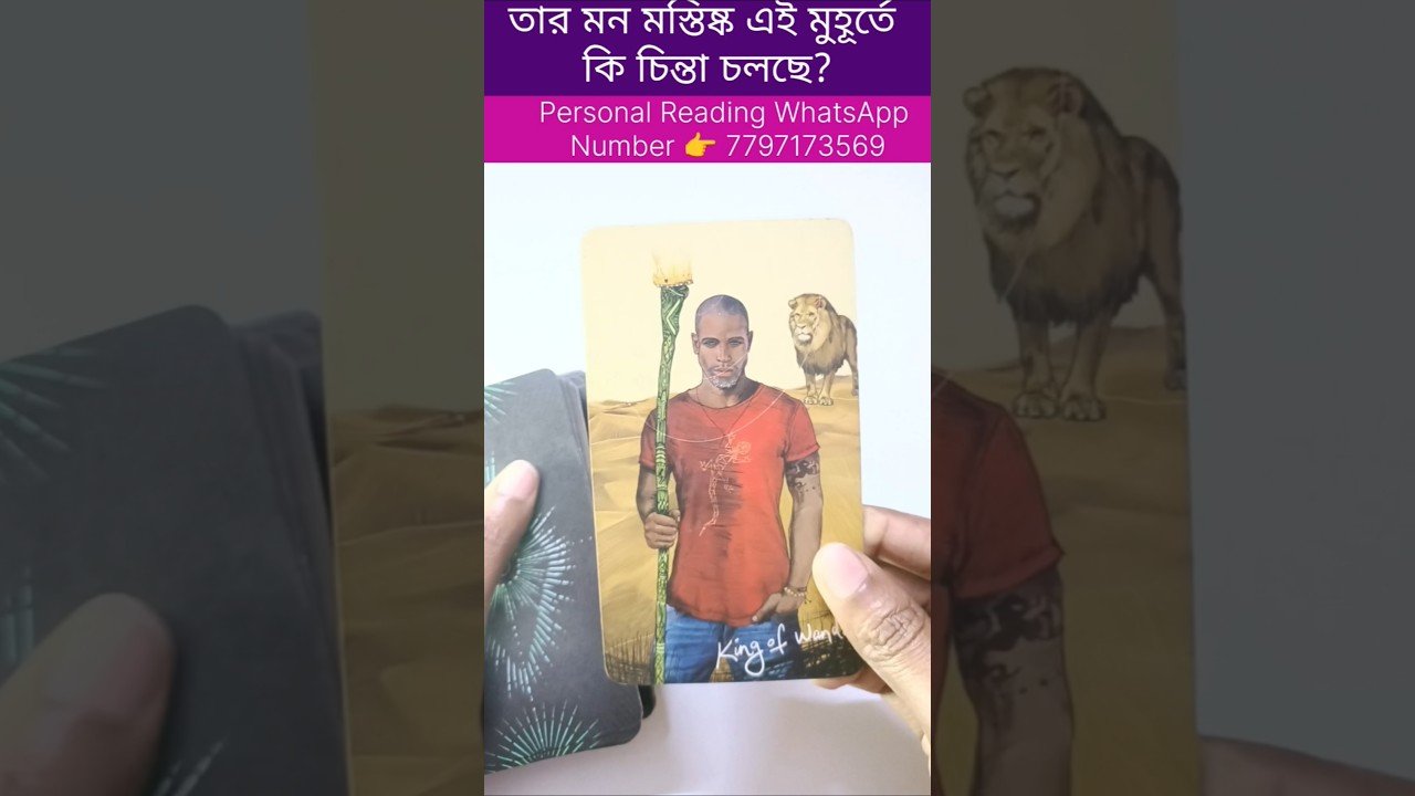 No momento, você está visualizando আজ তার মন মস্তিষ্কে তোমাকে নিয়ে কি চিন্তা চলছে? #currentfeelings #tarot #bengalitarotreading