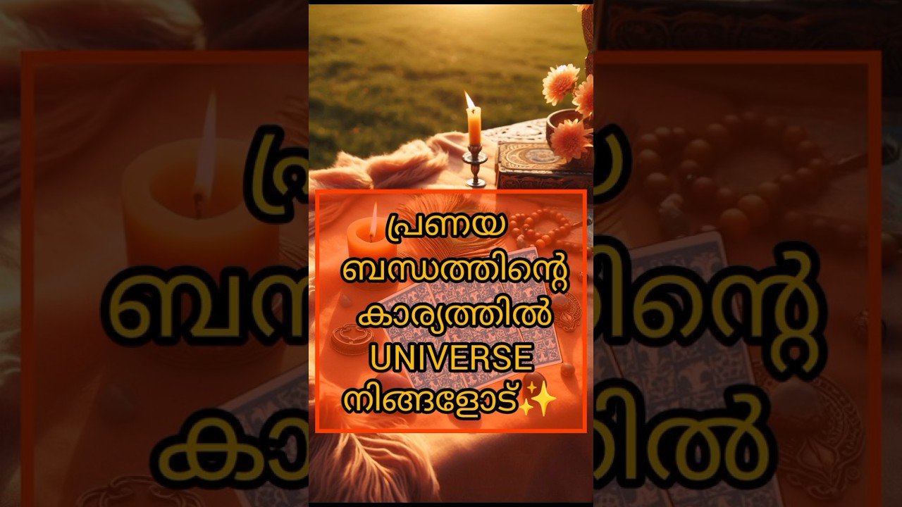 No momento, você está visualizando പ്രണയ ബന്ധത്തിൻ്റെ കാര്യത്തിൽ UNIVERSE നിങ്ങളോട്✨#shorts#shortsfeed#love#tarot#tarotreading #divine