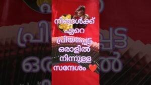 Leia mais sobre o artigo അവരിൽ നിന്നുള്ള സന്ദേശം ❤️#shorts #tarot #viral #youtubeshorts