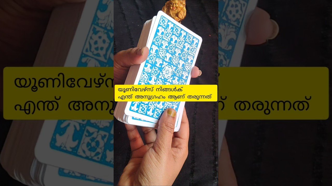 No momento, você está visualizando യൂണിവേഴ്സ് നിങ്ങൾക് തരുന്ന അനുഗ്രഹം 🙏#shorts #tarot#tarotreading #universe#divine  message#universe