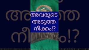 Leia mais sobre o artigo അവരുടെ അടുത്ത നീക്കം മനസിലാക്കൂ.. #shorts #trending #tarot #love