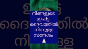 Leia mais sobre o artigo ദൈവത്തിന്റെ സന്ദേശം❤️ ✨Message from God #trending #tarot #shorts #god
