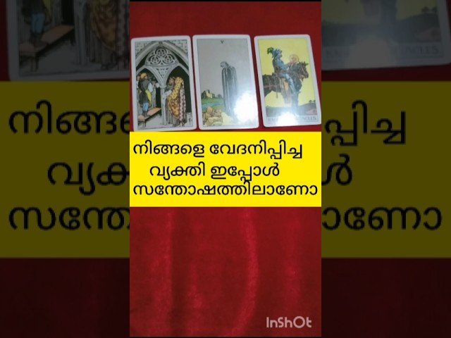 No momento, você está visualizando വേദനിപ്പിച്ച വ്യക്തി സന്തോഷത്തിലാണോ #tarot #shortvideo #shortsfeed2024