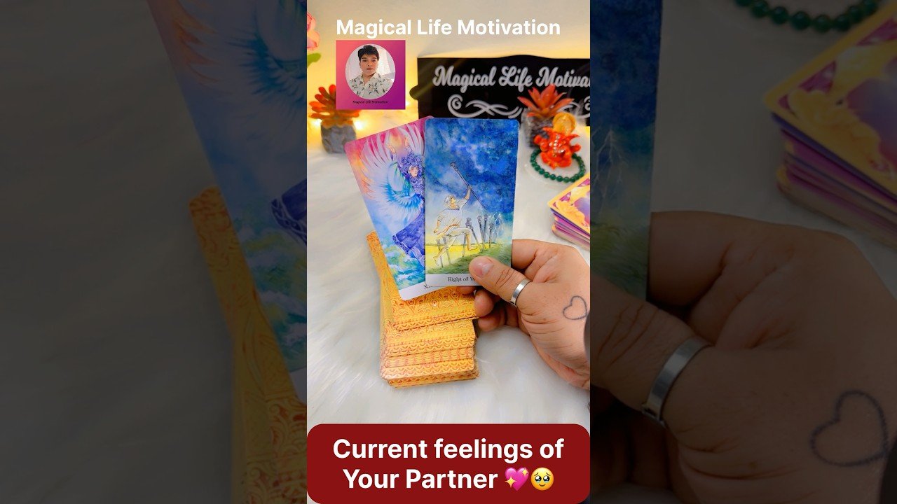 No momento, você está visualizando 💘🧿🥰CURRENT FEELINGS❤️😍LOVE TAROT #ytshorts #tarot #unkicurrentfeelings