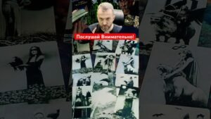 Leia mais sobre o artigo 💥Неожиданные Вести!🌓Гадание на картах Таро #tarot