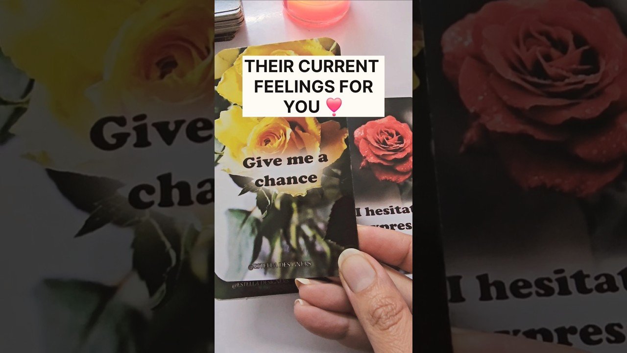 No momento, você está visualizando January 20, 2026