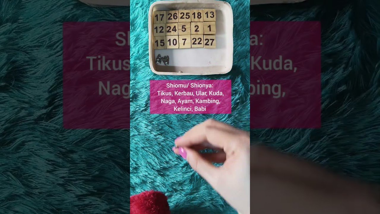 No momento, você está visualizando Kamu dimatanya 👀 #tarot #tarotreading #gemintangtarot